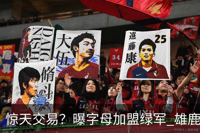 惊天交易？曝字母加盟绿军 雄鹿为布朗寻找第三方